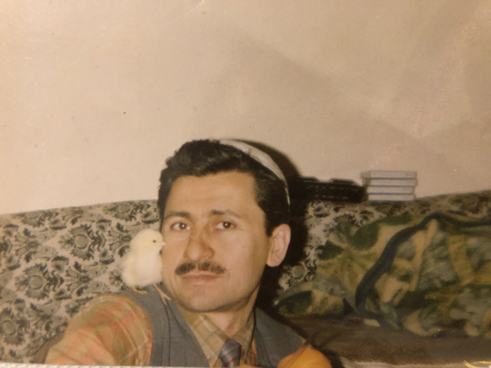 Mehmet Oruç evde omzunda küçük bir kuşla